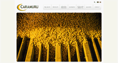 Desktop Screenshot of caramuru.com