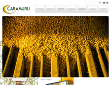 Tablet Screenshot of caramuru.com